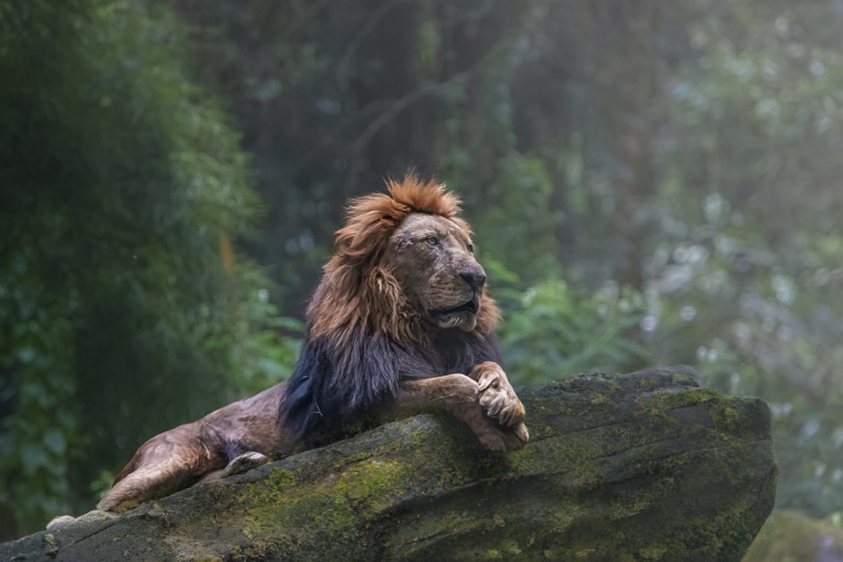 Ester Suryawati - On The Throne copy